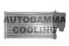 AUTOGAMMA 101663 Heat Exchanger, interior heating